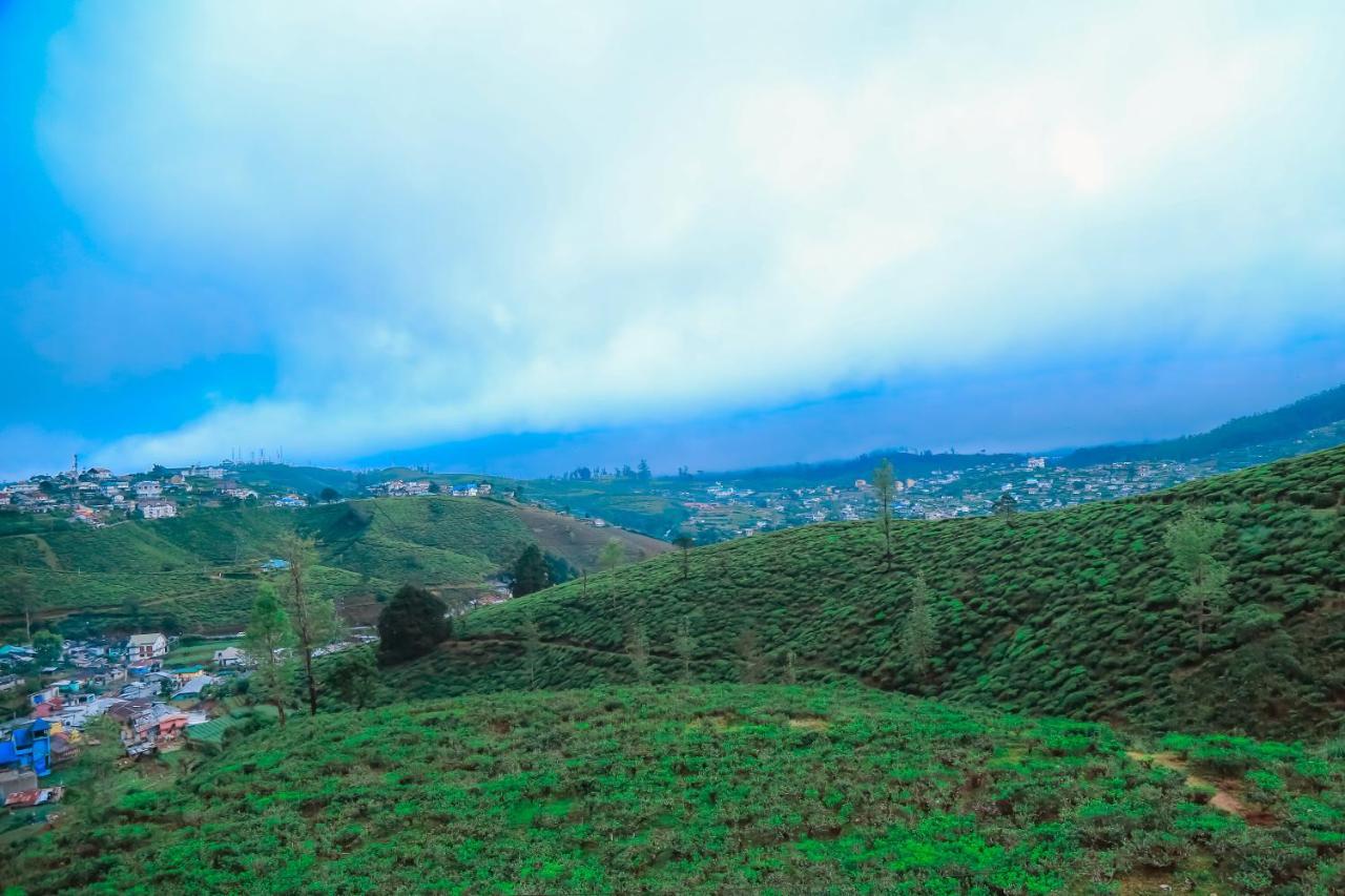 The Mount View Single Tree Hotel Nuwara Eliya Eksteriør bilde